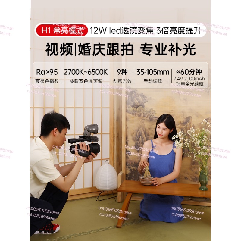12W flitser voor op de camera, - Photography Using Lighting recensie en prijs