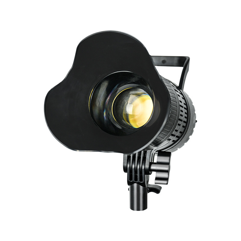 Spotlight LED 220V Studio Vide - Portrait Photography With Lighting recensie en prijs